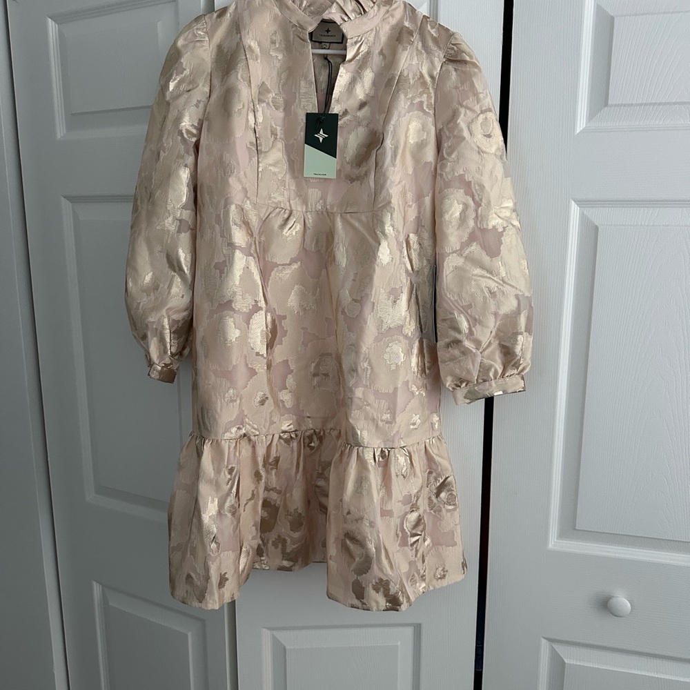 Tuckernuck Champagne Fil Coupe Palmerston Dress